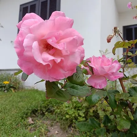 Casa Ferienhaus Foz do Arelho